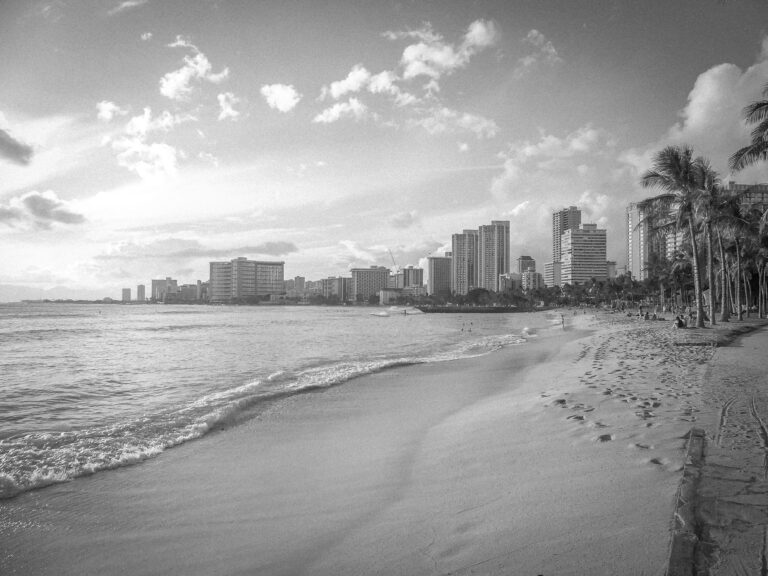 Beach with city skyline, palm trees, and calm ocean waves at sunset.