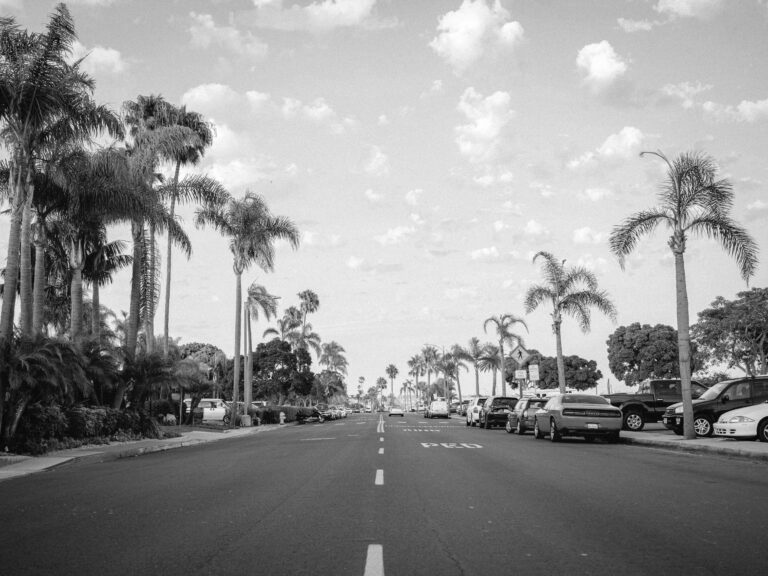 A quiet street lined with tall palm trees and parked cars under a partly cloudy sky.